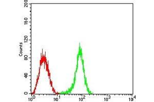 Flow Cytometry (FACS) image for anti-CD53 (CD53) antibody (ABIN7193232)