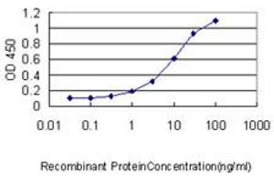 Detection limit for recombinant GST tagged SLC44A2 is approximately 0. (SLC44A2 antibody  (AA 123-230))