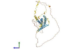 Protein Structure (PS) image for Transmembrane Protein 79 (TMEM79) (AA 1-394) protein (His tag) (ABIN7544493)