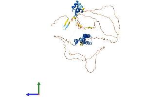AlphaFold protein structure predicition of Mouse Recombinant Spats2 Protein, UniprotID Q8K1N4 (SPATS2 Protein (AA 1-545) (His tag))