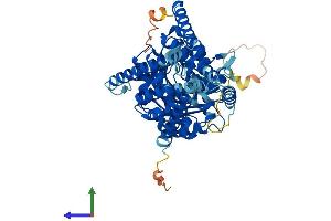 Protein Structure (PS) image for Hyaluronan Synthase 1 (HAS1) (AA 1-583) protein (His tag) (ABIN7557723)