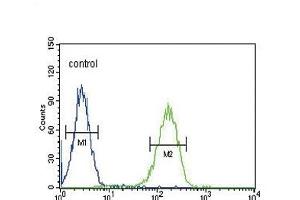CACNA2D4 Antibody (N-term) (ABIN651895 and ABIN2840441) flow cytometric analysis of K562 cells (right histogram) compared to a negative control cell (left histogram). (CACNA2D4 antibody  (N-Term))