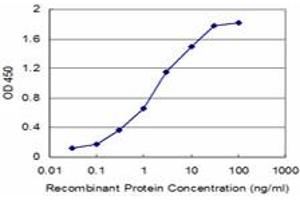 Detection limit for recombinant GST tagged SH3BGR is approximately 0. (SH3BGR antibody  (AA 1-239))