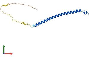 AlphaFold protein structure predicition of Human Recombinant MAFIP Protein, UniprotID Q8WZ33 (MAFIP Protein (AA 1-124) (His tag))