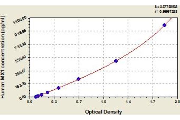 MX1 ELISA Kit