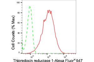 Flow cytometric analysis of thioredoxin reductase 1 expression in HepG2 cells using thioredoxin reductase 1 antibody (ABIN7800544), 1:2,000).
