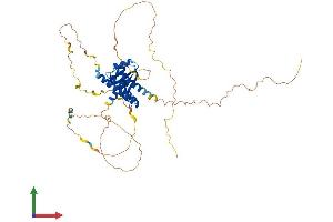 AlphaFold protein structure predicition of Human Recombinant CPSF7 Protein, UniprotID Q8N684 (CPSF7 Protein (AA 1-471) (His tag))