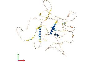 AlphaFold protein structure predicition of Human Recombinant SLAIN1 Protein, UniprotID Q8ND83 (SLAIN1 Protein (AA 1-568) (His tag))