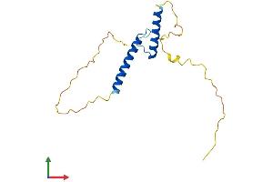 AlphaFold protein structure predicition of Human Recombinant TCF24 Protein, UniprotID Q7RTU0 (Transcription Factor 24 (TCF24) (AA 1-167) protein (His tag))