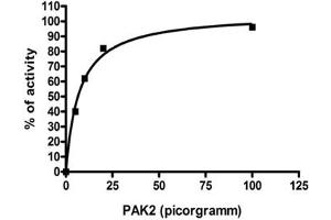 Analysis of enzymatic activity was performed according to the Zlyte assay protocol (Invitrogen): 1. (PAK2 Protein (AA 227-524))
