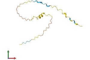 Protein Structure (PS) image for Protamine 3 (PRM3) (AA 1-103) protein (His tag) (ABIN7551045)