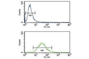 HLA-G antibody flow cytometry analysis of NCI-H460 cells (bottom histogram) (HLAG antibody  (AA 62-89))