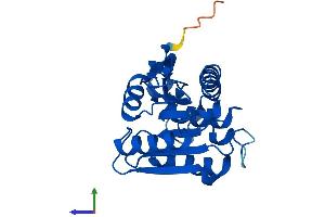 AlphaFold protein structure predicition of Mouse Recombinant Lypla1 Protein, UniprotID P97823