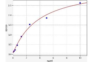 Typical standard curve (CCR5 ELISA Kit)