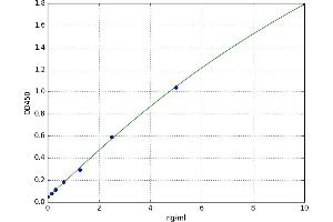 A typical standard curve (14-3-3 gamma ELISA Kit)