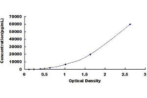COL2 ELISA Kit