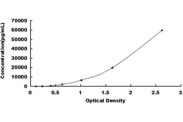 COL2 ELISA Kit