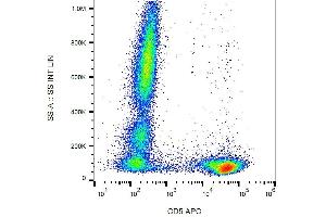 Surface staining of CD5 in human peripheral blood cells with anti-CD5 (L17F12) APC. (CD5 antibody  (APC))