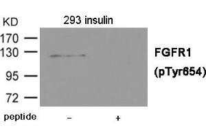 Western blot analysis of extracts from 293 cells treated with insulin using FGFR1 (Phospho-Tyr654) Antibody. (FGFR1 antibody  (pTyr654))
