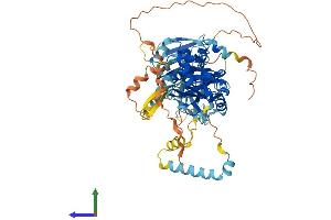 AlphaFold protein structure predicition of Mouse Recombinant Fam111a Protein, UniprotID Q9D2L9