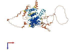AlphaFold protein structure predicition of Human Recombinant TBC1D3G Protein, UniprotID Q6DHY5 (TBC1D3G Protein (AA 1-549) (His tag))