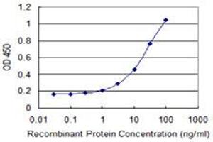 NCKIPSD antibody  (AA 1-99)