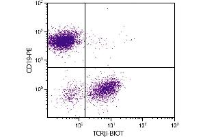 BALB/c mouse splenocytes were stained with Hamster Anti-Mouse TCRβ-BIOT. (TCRb antibody  (Biotin))