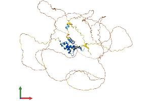 Protein Structure (PS) image for Forkhead Box O1 (FOXO1) (AA 1-655) protein (His tag) (ABIN7553964)
