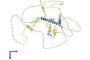 AlphaFold protein structure predicition of Mouse Recombinant Tagap1 Protein, UniprotID P0CAX8 (Tagap1 Protein (AA 1-505) (His tag))
