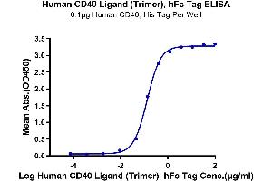 ELISA image for CD40 Ligand (CD40LG) (Trimer) protein (Fc Tag) (ABIN7274321)