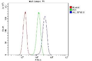 Flow Cytometry analysis of HeLa cells using anti-AXL antibody (ABIN7601813).