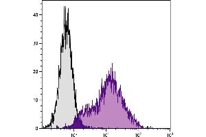 Con-A stimulated C57BL/6 mouse splenocytes were stained with Rat Anti-Mouse Ly-6A/E-FITC. (Sca-1/Ly-6A/E antibody  (FITC))