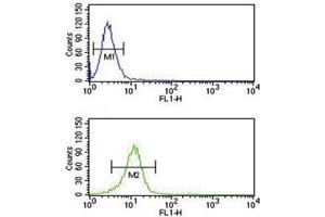 Flow Cytometry (FACS) image for anti-CD40 Ligand (CD40LG) (AA 33-62) antibody (ABIN3028551)