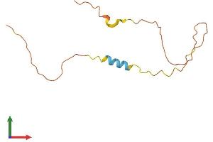 AlphaFold protein structure predicition of Human Recombinant RBAKDN Protein, UniprotID A6NC62 (RBAKDN Protein (AA 1-111) (His tag))