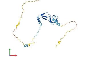 AlphaFold protein structure predicition of Human Recombinant BTF3 Protein, UniprotID P20290 (BTF3 Protein (AA 1-206) (His tag))