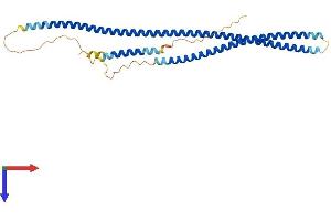 Coiled-Coil Domain Containing 68 (CCDC68) (AA 1-335) protein (His tag)