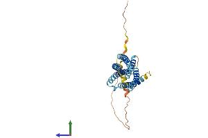 Protein Structure (PS) image for Transmembrane Protein 163 (TMEM163) (AA 1-288) protein (His tag) (ABIN7559203)