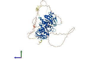 AlphaFold protein structure predicition of Human Recombinant CDC14A Protein, UniprotID Q9UNH5 (CDC14A Protein (AA 1-594) (His tag))