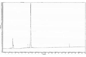 Luteinizing Hormone (LH) peptide (Ovalbumin)