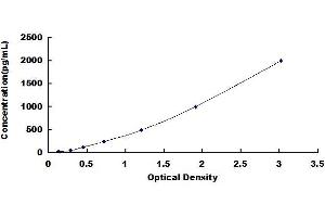 Cardiac Troponin C (TNNC1) ELISA Kit