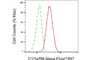 Flow cytometric analysis of C17orf58 expression in HT- cells using C17orf58 antibody (ABIN7798076), 1:1,000). (C17orf58 antibody)