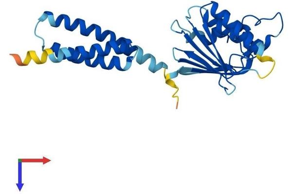MITD1 Protein (AA 1-249) (His tag)