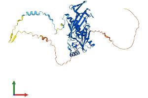 AlphaFold protein structure predicition of Mouse Recombinant Exosc9 Protein, UniprotID Q9JHI7