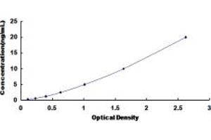 TSC22D1 ELISA Kit