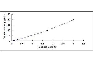 Typical standard curve (Acetyl-CoA Carboxylase alpha ELISA Kit)