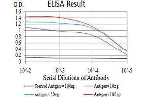 Black line: Control Antigen (100 ng);Purple line: Antigen (10ng); Blue line: Antigen (50 ng); Red line:Antigen (100 ng) (TRAF2 antibody  (AA 39-188))