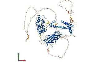 AlphaFold protein structure predicition of Human Recombinant GGA3 Protein, UniprotID Q9NZ52