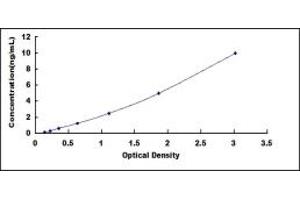 Typical standard curve (RBM8A ELISA Kit)