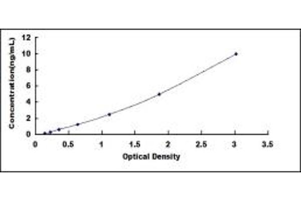 RBM8A ELISA Kit