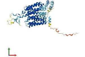 AlphaFold protein structure predicition of Human Recombinant SLC22A8 Protein, UniprotID Q8TCC7